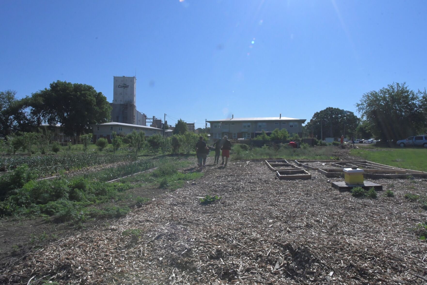 Sunnyside Community Garden and Food Forest